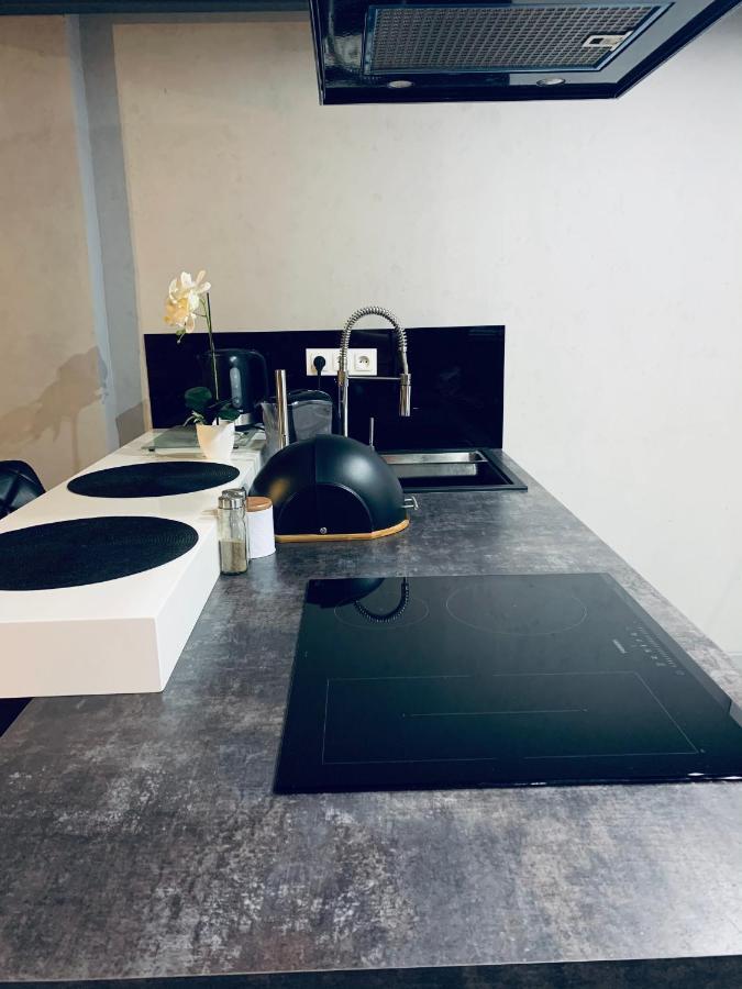 Loft De Girarda Daire Zyrardow Dış mekan fotoğraf