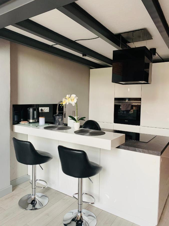Loft De Girarda Daire Zyrardow Dış mekan fotoğraf